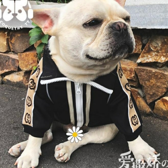 🎉HP🎉Doggy track jacket - Picture 2 of 3
